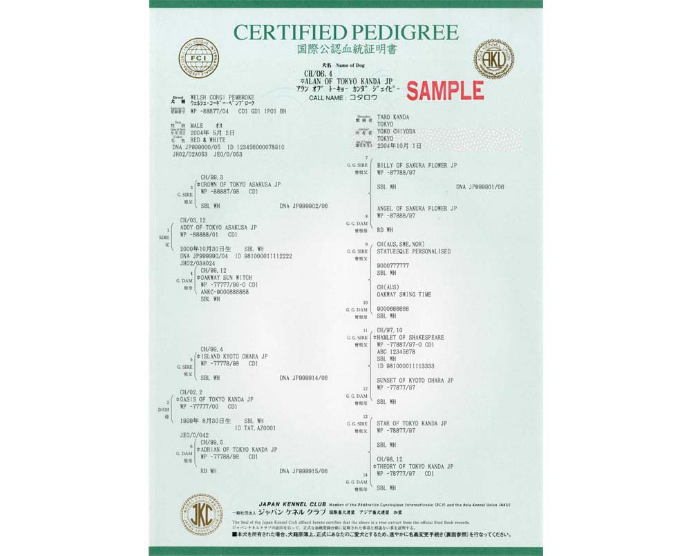 血統証について フレンチブルドッグブリーダー 埼玉県深谷市ドッグハウス シオ